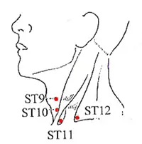 Stomach Meridian Acu Points - www.natural-health-zone.com